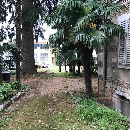 Apartament The Attic *